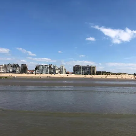 Lejlighed By Belgian Sea And Dunes, Cleaning Included *