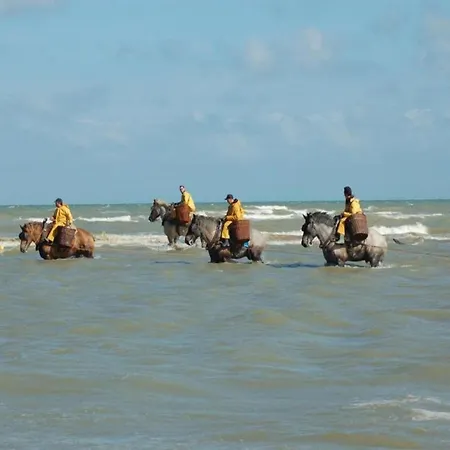 By Belgian Sea And Dunes, Cleaning Included * Koksijde