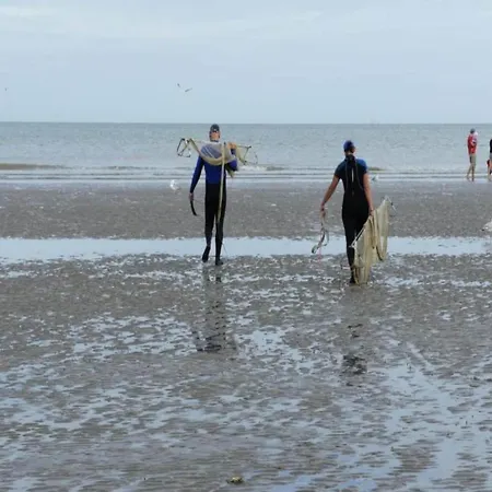 Lejlighed By Belgian Sea And Dunes, Cleaning Included