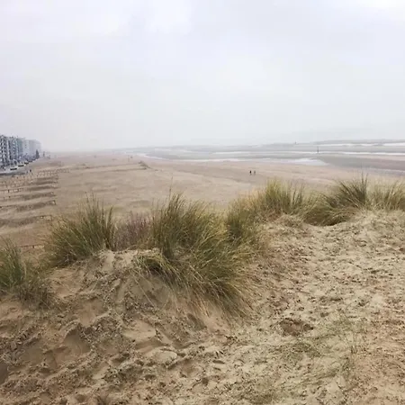 Lejlighed By Belgian Sea And Dunes, Cleaning Included Koksijde