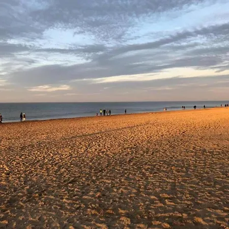 Lejlighed By Belgian Sea And Dunes, Cleaning Included