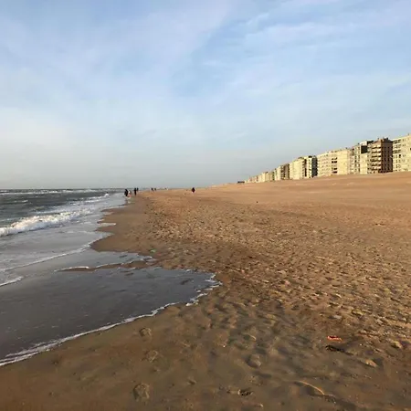 By Belgian Sea And Dunes, Cleaning Included Lejlighed *